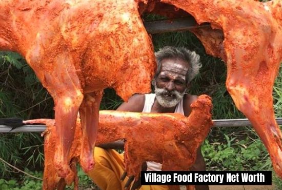 much money village food factory makes youtube
