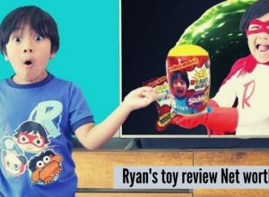 Ryan's toy review net worth