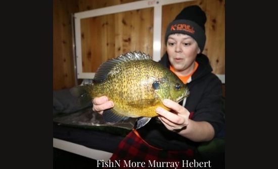 FishN More Murray Hebert biggest bluegill catch ever