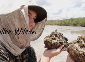 Picture of Miller Wilson with two giant stone fish caught from Tin Can Bay, Queensland